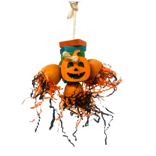 Shredded Pumpkin
