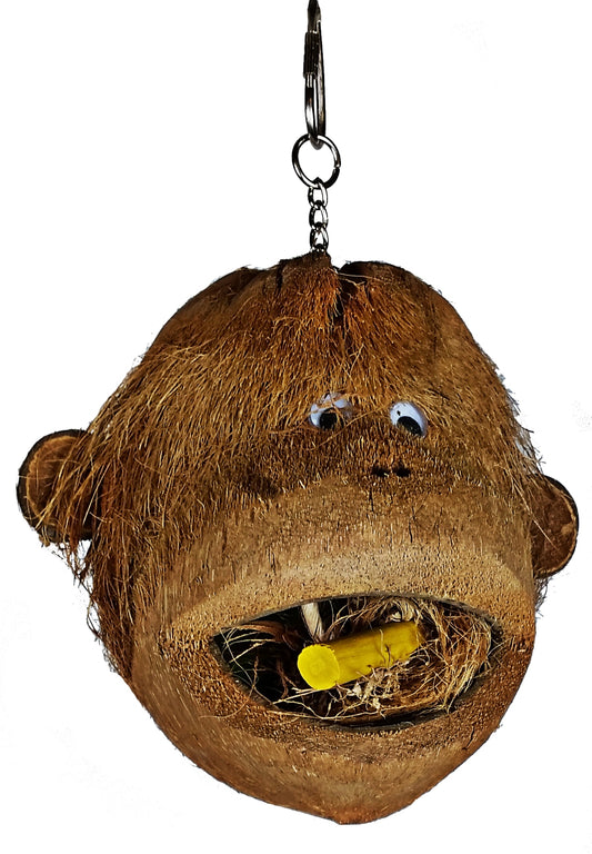 Java Wood Coco Monkey