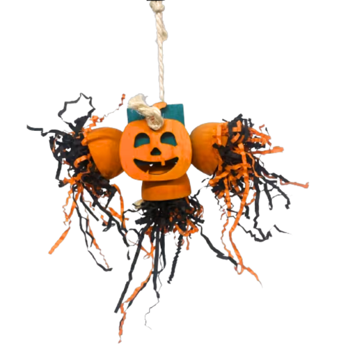 Shredded Pumpkin